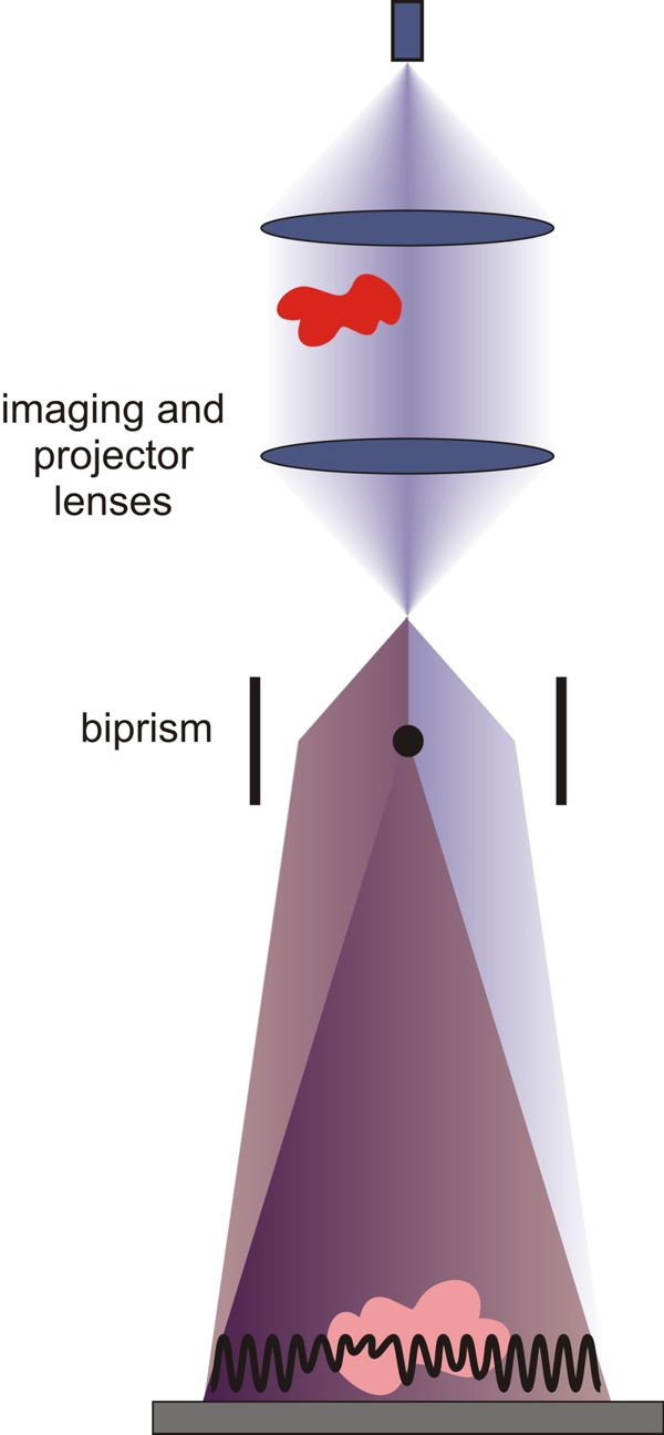 Schematic representation of electron holography